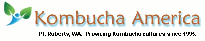 kombucha tea